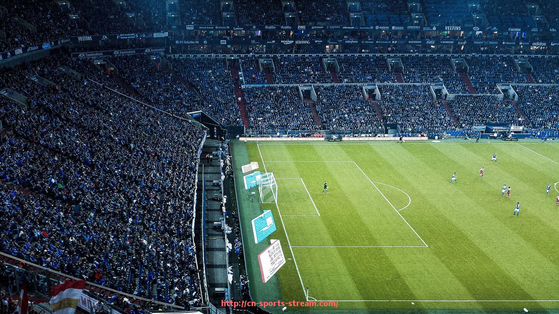 体育直播-从NBL走进CBA的球员奋斗史